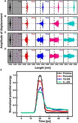 A Qualitative Study of the Disorder Effect on the Phonon Transport in a Two-Dimensional Graphene/h-BN Heterostructure